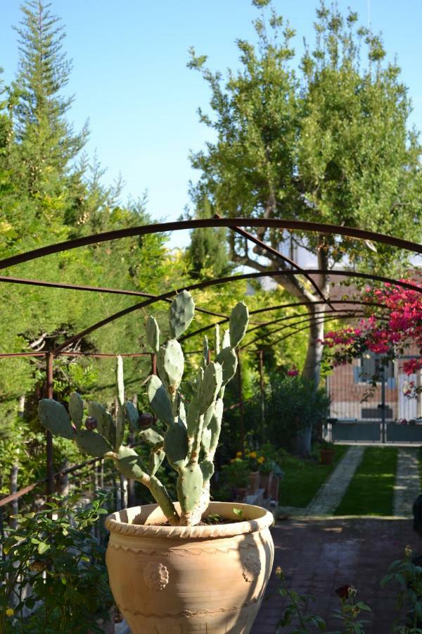 Bed & Breakfast Le Signorine Lecce